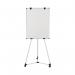 Earth Kyoto Mobile Magnetic Easel EA14506174 BQ50012