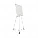 Earth Kyoto Mobile Magnetic Easel EA14506174 BQ50012