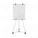 Earth Kyoto Mobile Magnetic Easel EA14506174 BQ50012