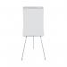 Earth Tripod Easel Non-Magnetic EA2376995 BQ50085