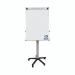 Earth Mobile Easel Non-Magnetic Euro EA4876995 BQ50101