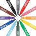 Berol Colour Broad Pen Water Based Ink Assorted (Pack of 42) S0375970 BR30073