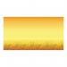 Bordette Fadeless Designs Poster Paper Rolls 1218mm x 3.6m Assorted (Pack of 24) AR01313 BRD00434