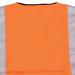 Beeswift High Visibility Waistcoat Full App G Orange Large WCENGORL BRG10008
