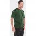 Beeswift Click Heavyweight 100% Cotton T-shirt Bottle Green L BSW01763