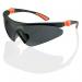 Beeswift Traders Roma Spectacles Grey CTRSS3GY BSW13556