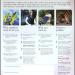 Beeswift Health and Safety Law Poster PVC BSW66314