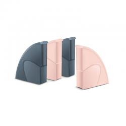 CEP Mineral Magazine Files Assorted (Pack of 4) 1067446401 CEP01998