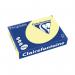 Trophee Card A4 160gm Canary (250 Pack) 2636C CFP2636C