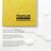 Exacompta Chartwell Plain Weather Resistant Field Book 130x205mm 2006 CH17001