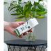 Cheeky Panda Pocket Tissue Plastic Free 10 Tissues x4 (Pack of 24) PFPOCKT4 CHK63039