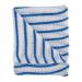 Hygiene Dishcloths 406x304mm16x12 Inch BlueWhite (Pack of 10) 100755B CNT00120