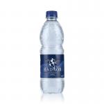 Radnor Hills Still Water 500ml (Pack of 24) RH5STPC CPD00090