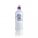 Radnor Hills Splash Still Water Forest Fruits 500ml (Pack of 24) 0201049 CPD00401