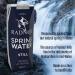 Radnor Still Spring Water 250ml Tetra Pak (Pack of 24) 0201025 CPD00871