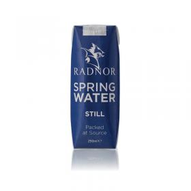 Radnor Hills Radnor Still Spring Water 250ml Tetra Pak (Pack of 24) 0201025 CPD00871