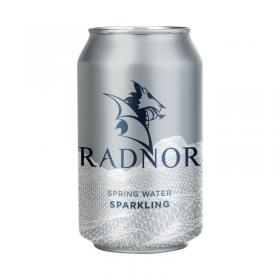 Radnor Spring Water Sparkling 330ml Can (Pack of 24) 0201062 CPD00897