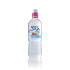 Radnor Hills Splash Still Water Apple Raspberry 500ml (Pack of 24) 0201046 CPD00934