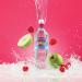 Radnor Hills Splash Still Water Apple Raspberry 500ml (Pack of 24) 0201046 CPD00934