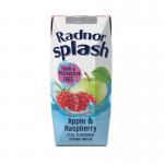 Radnor Hills Splash Water Apple Raspberry 250ml (Pack of 24) 0201067 CPD00954