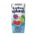 Radnor Hills Splash Water Apple Raspberry 250ml (Pack of 24) 0201067 CPD00954