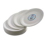Paper Plate 7 Inch White (Pack of 100) 0511040 CPD75061