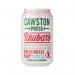 Cawston Press Sparkling RhubarbSoft Drink 330ml Can (Pack of 24) CANS102 CPL13418