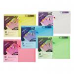 Polyfile A4 Classic Assorted- 5 Files 12843x