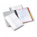 Durable DIVISOFLEX Organiser File Index 255706