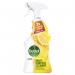 In the image, a 1 litre bottle of Dettol Disinfectant Power & Fresh Multipurpose Cleaner can be seen. The bottle features a citrus spray for easy application. The label prominently displays the Dettol logo and product name, with a clear image of citrus fruits in the background.