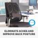 Professional Series Mesh Back Support 8029901