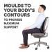 Professional Series Mesh Back Support 8029901
