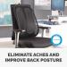 Office Suites Mesh Back Support 9191301