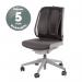 Office Suites Mesh Back Support 9191301