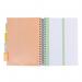 Pukka Pads Pukka Pad B5 Study Book with 4 Coloured Dividers 3 Types of Paper Ruling and Revision Cards 9824-STU