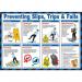 PREVENTING SLIPS TRIPS POSTER  BSS13214