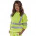 Beeswift Hi-Visibility Sweatshirt Saturn Yellow L BSSENSYL