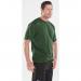 Beeswift Heavy Weight Tee Shirt Bottle Green 2XL CLCTSHWBGXXL