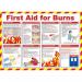 Click Medical First Aid For Burns Poster  CM1312