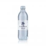Radnor Hills Sparking Water 500ml Bottles (24) CT0019