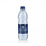 Radnor Hills Still Water 500ml Bottles (24) CT0020