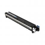 OEM Ricoh D2443021 Cyan Developer Unit D2443021