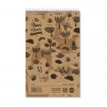 Rhino 200 x 127 Recycled Shorthand Notebook 80 Leaf 8mm Lined Pack of 10 SRN8