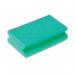 Finger Grip Scourers 130x70x40mm Green (Pack of 10) SPCAGN60I CX51410