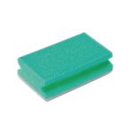 Finger Grip Scourers 130x70x40mm Green (Pack of 10) SPCAGN60I CX51410