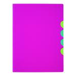 Durable Pagna 5-part Folder A4 Dark Pink (Pack of 10) 4780334 DB03909