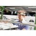 Durable Face Visor (Pack of 25) 999111442 DB72677