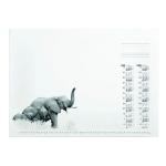 Durable African Wildlife Calendar Desk Mat Refill 570 x 410mm 7323 DB98705
