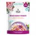 A white tub labeled Arctic Power Mixed Berry Powder sits on a wooden table, surrounded by fresh blueberries, raspberries, blackberries and strawberries. A small scoop of purple-pink powder rests beside the tub. Soft natural light and muted backdrop create a calm lifestyle scene. Dew beads gather on lid.