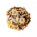 A glossy box labeled Di Santo & Family Bakery displays six Cestino Moderno hazelnut tarts visible through a clear window. Each tart shows a golden, flaky crust, glossy hazelnut filling and crushed nut topping, arranged in a neat tray against a pale background. Soft lighting casts gentle highlights..